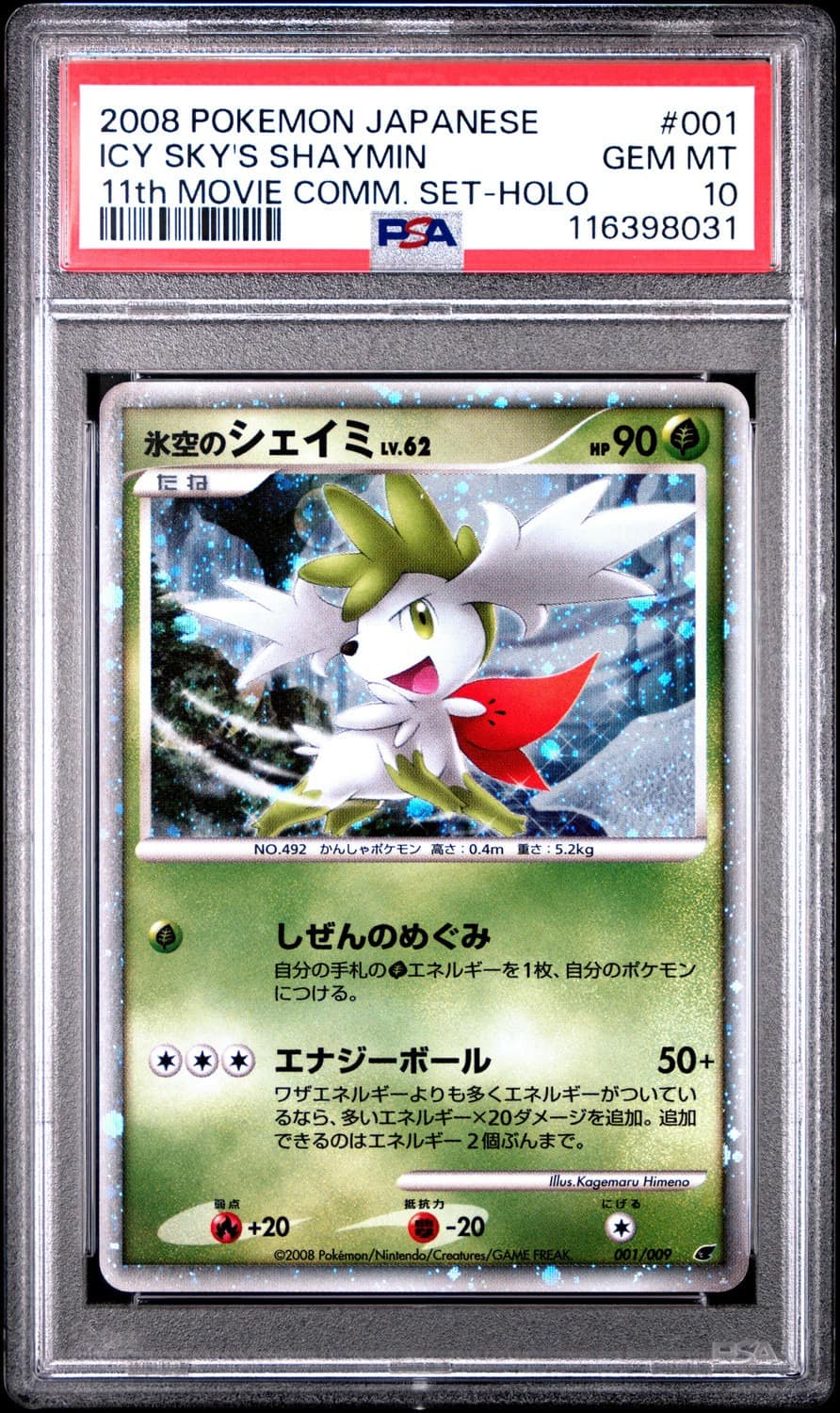 Icy Sky'S Shaymin