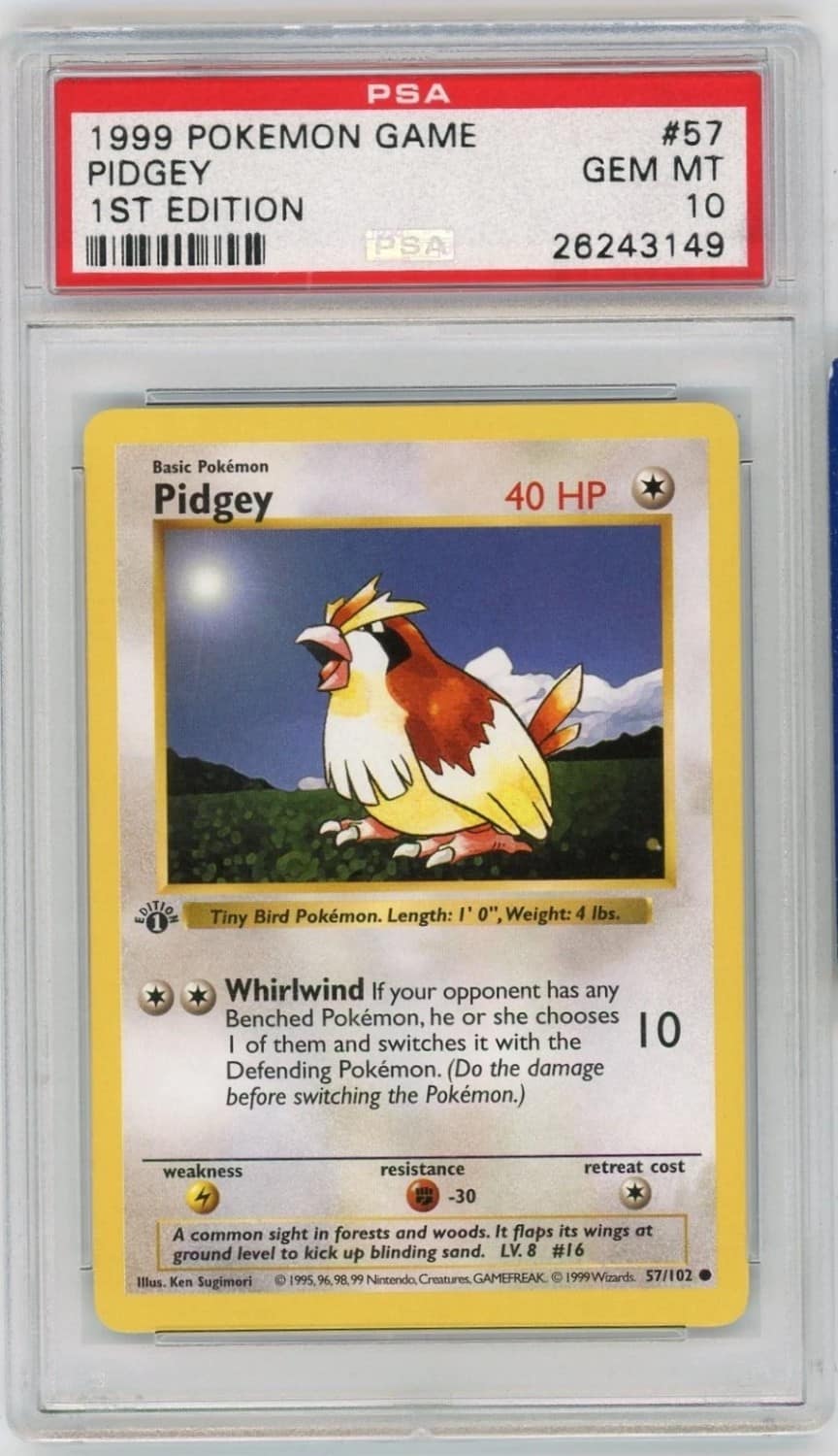 Pidgey