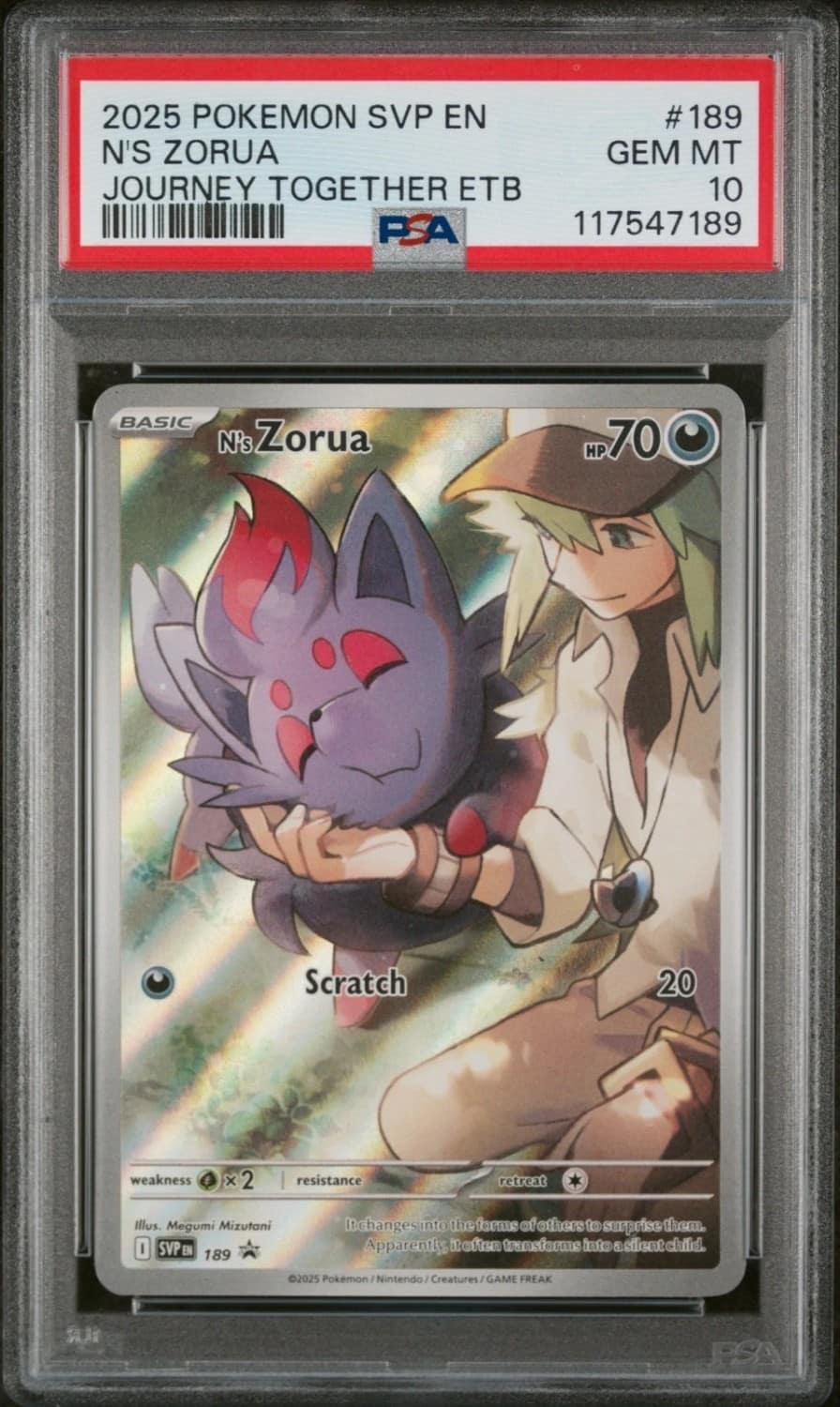 N'S Zorua