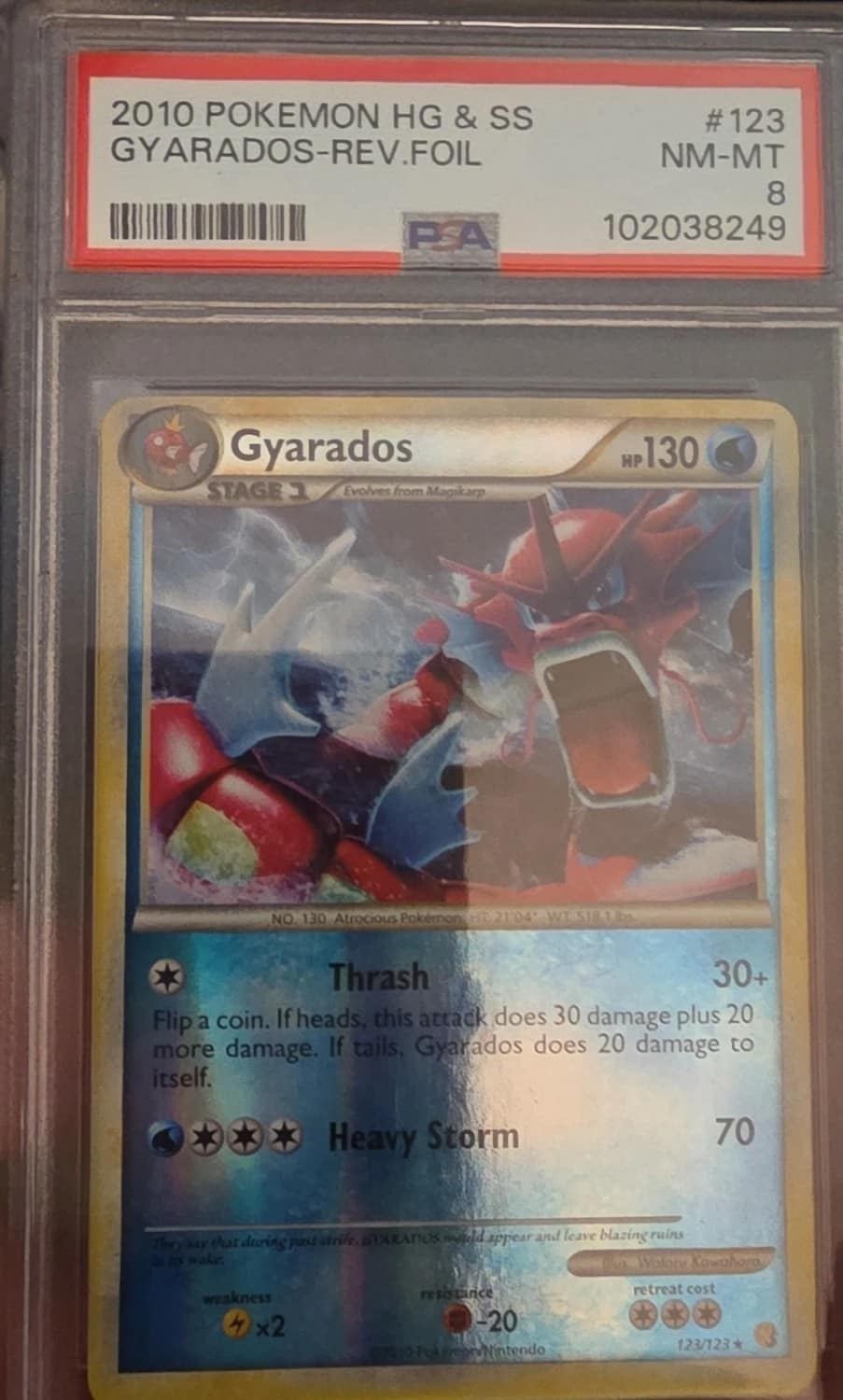 Gyarados