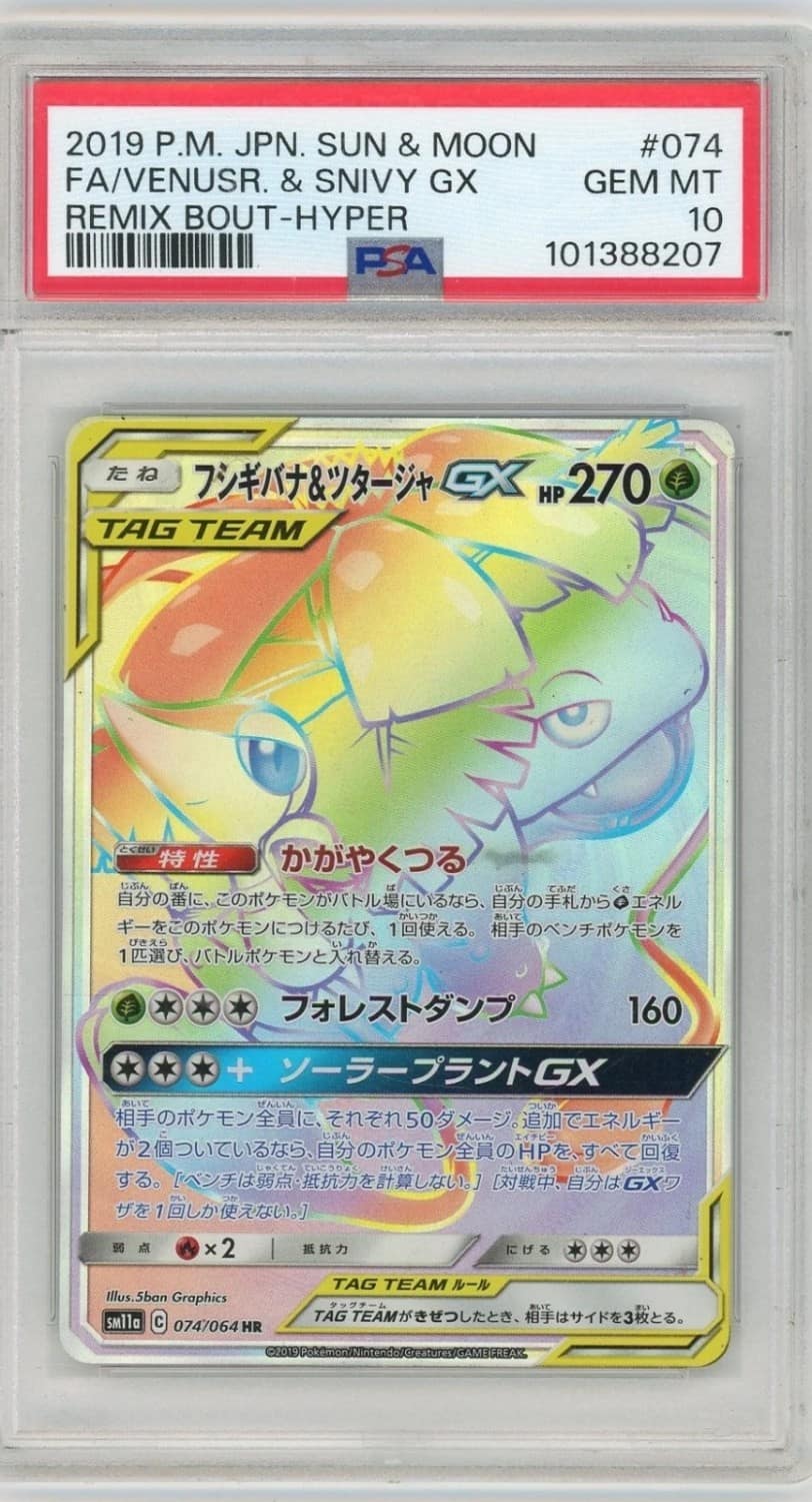 Venusaur & Snivy Gx
