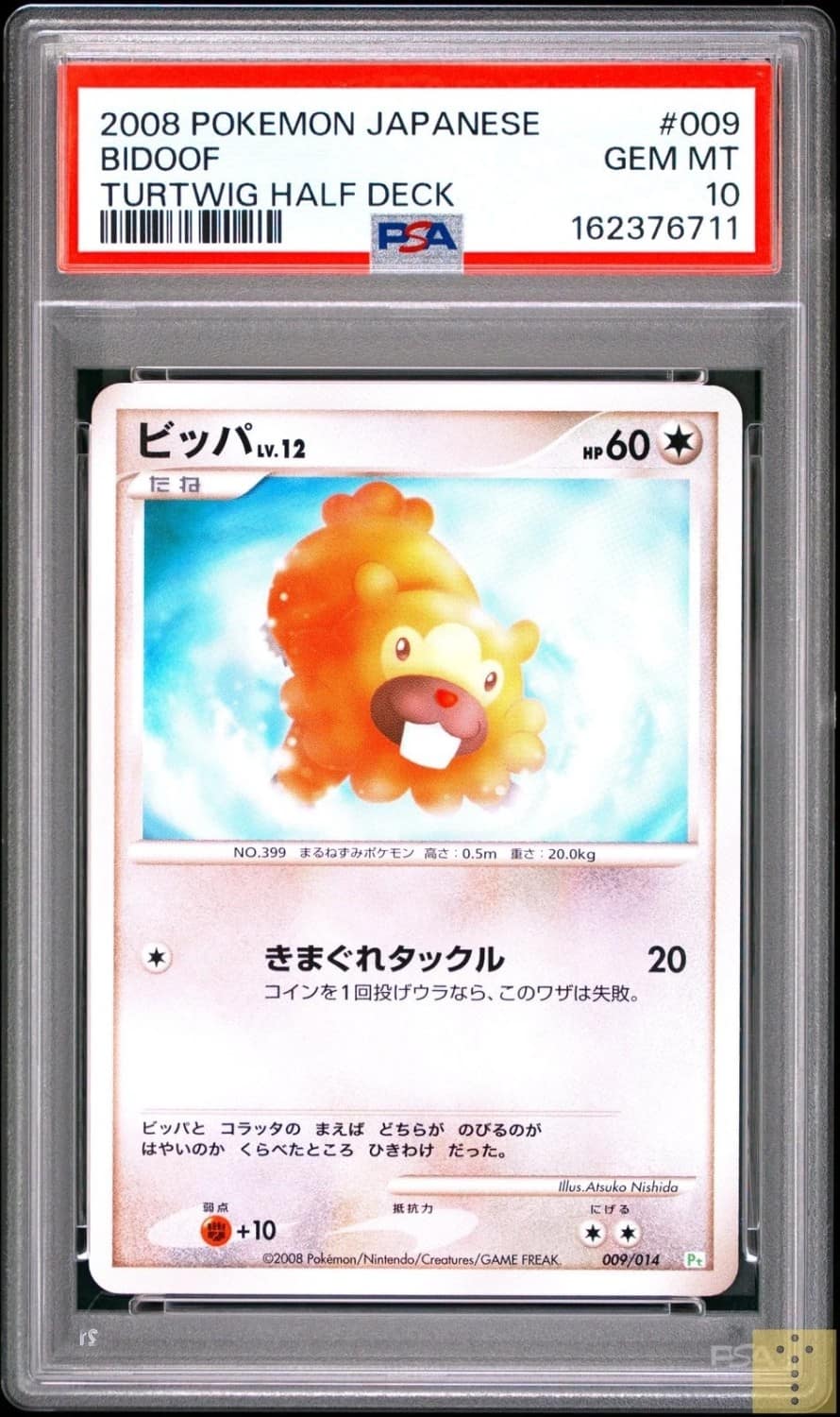 Bidoof