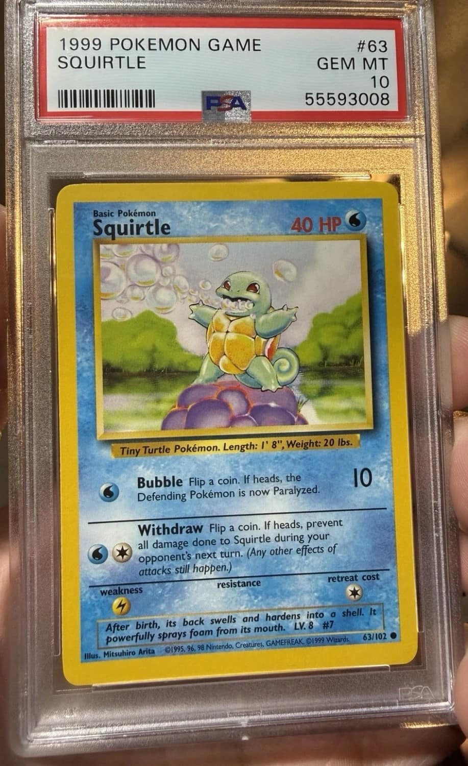 Squirtle
