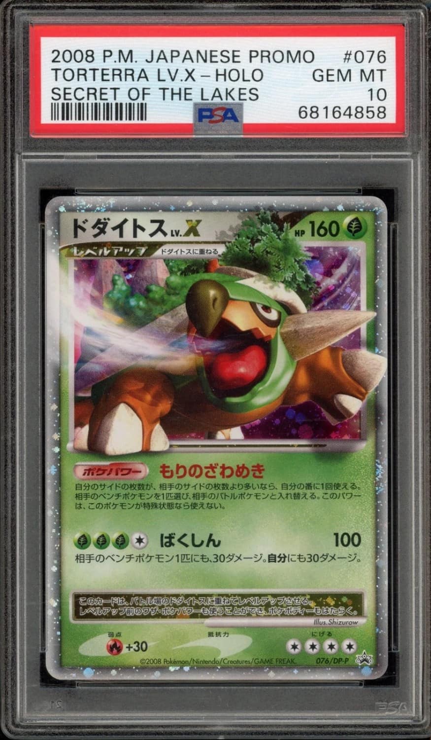 Torterra Lv.x