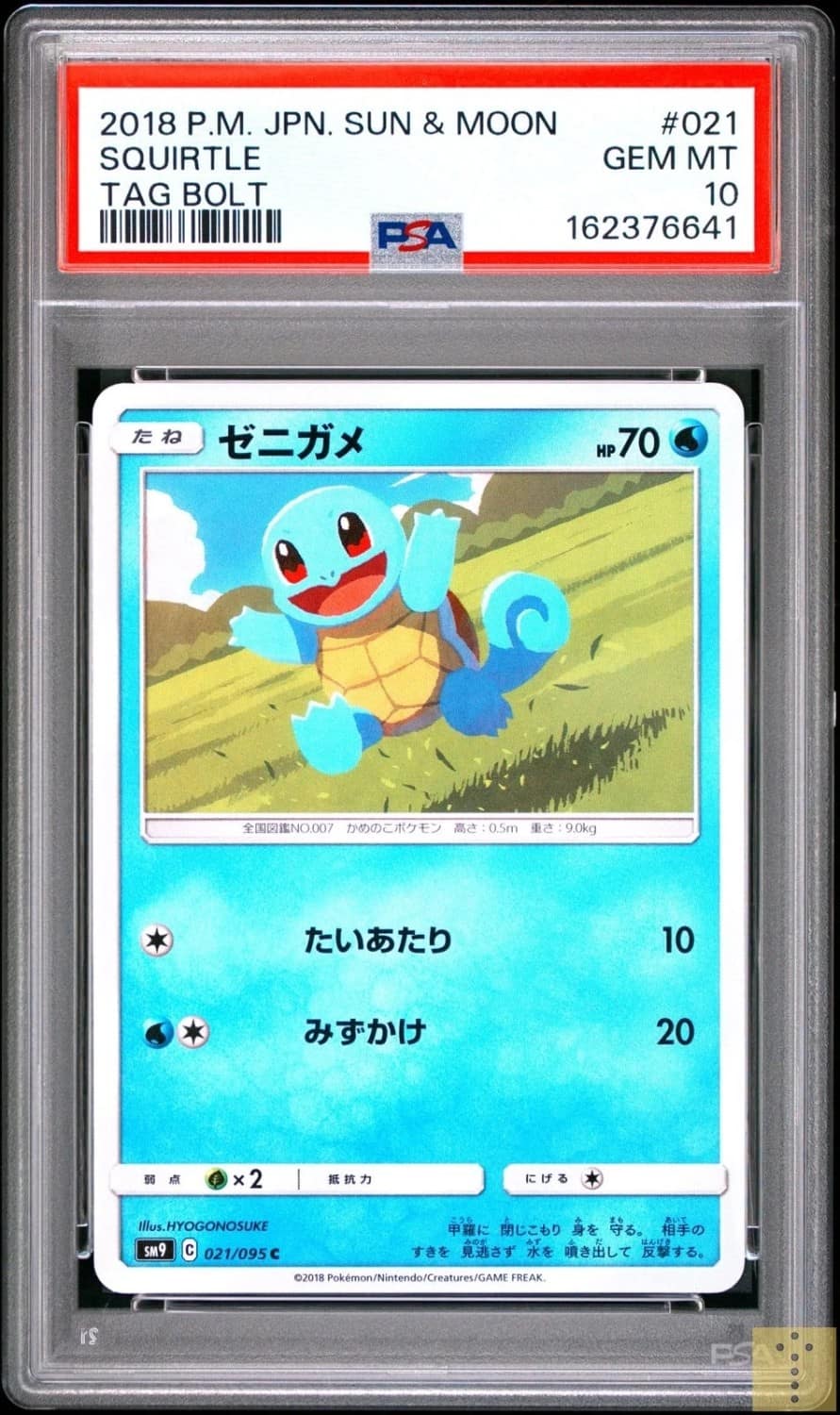 Squirtle