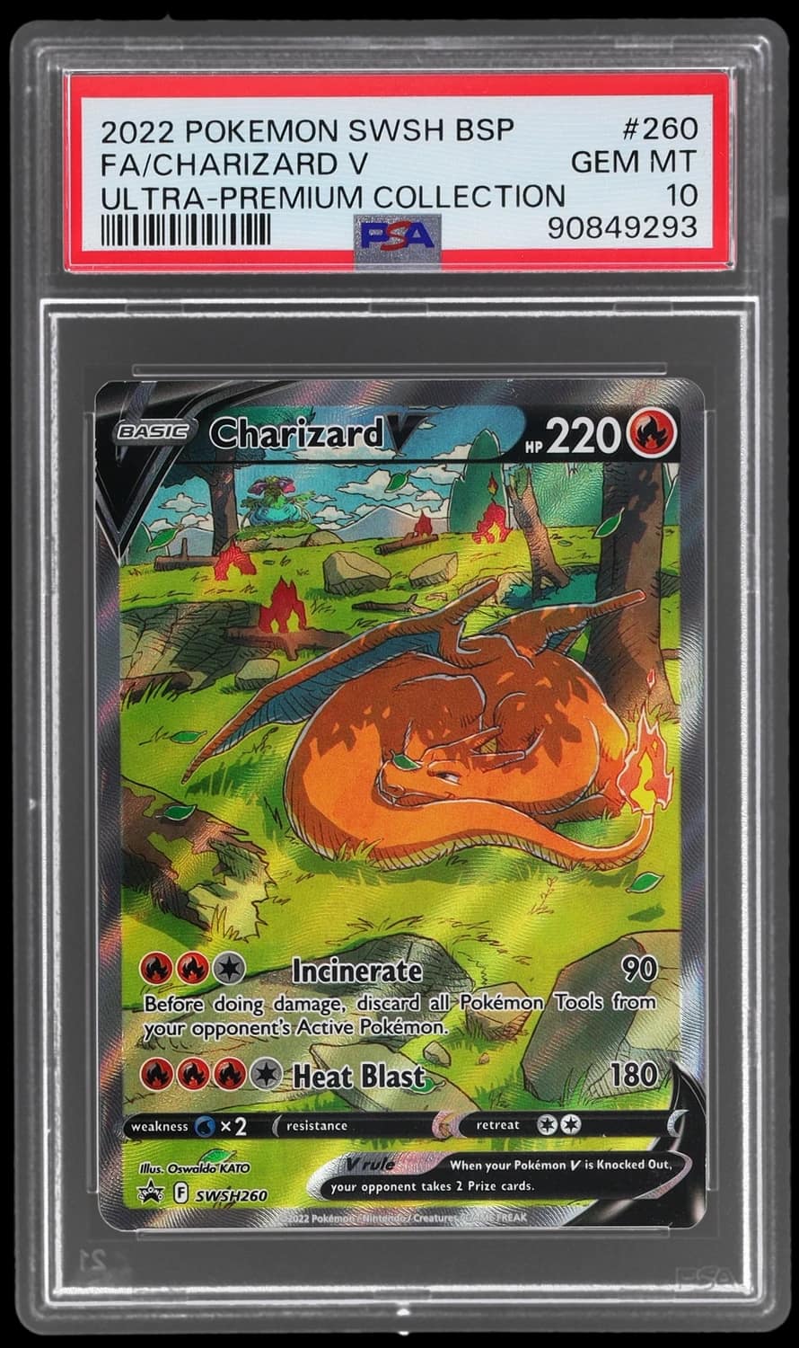 Charizard V