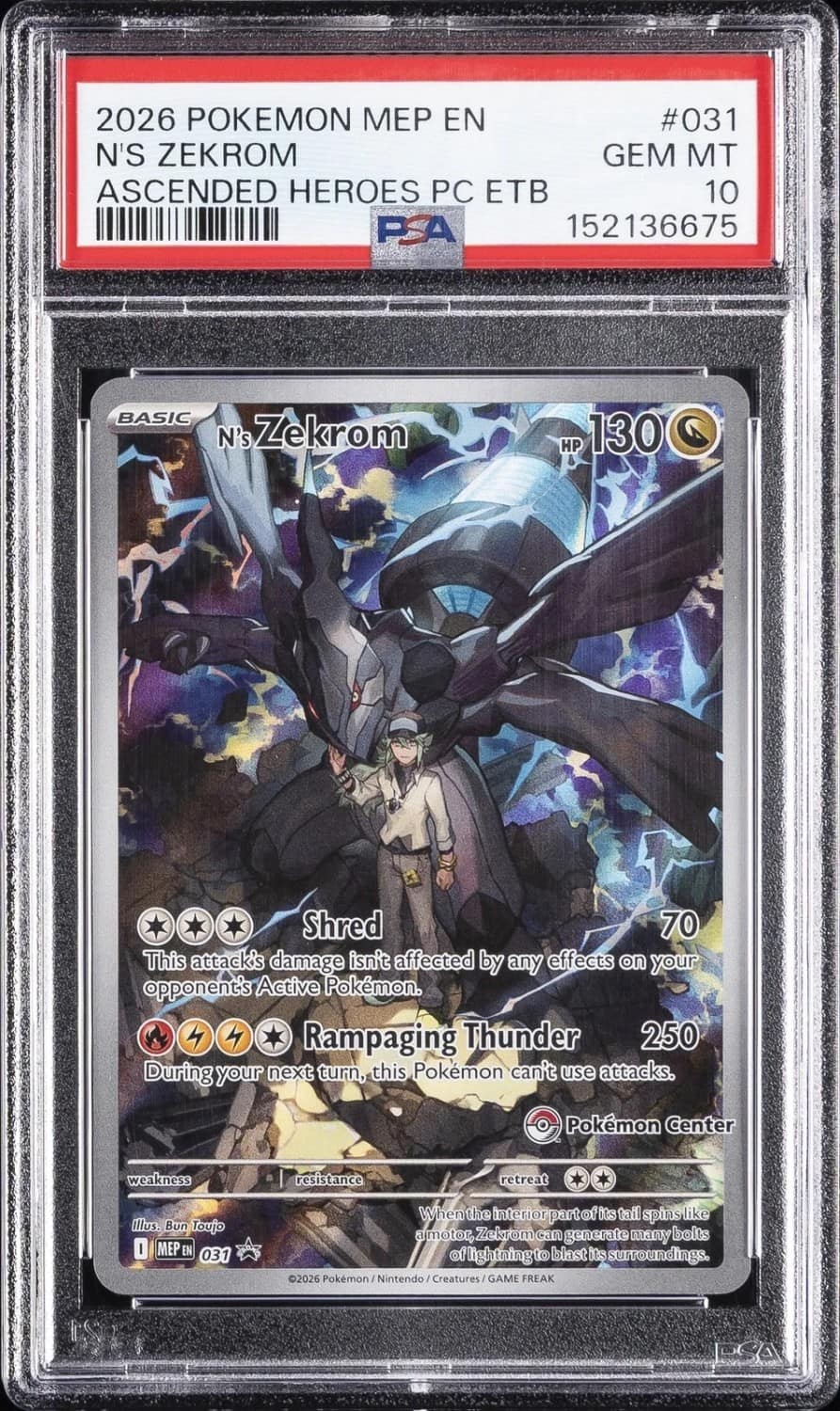 N'S Zekrom