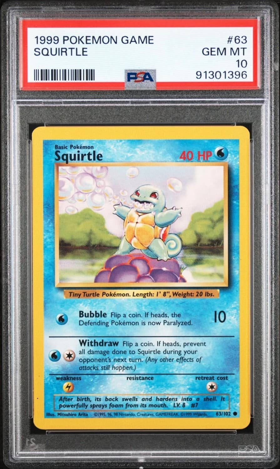 Squirtle