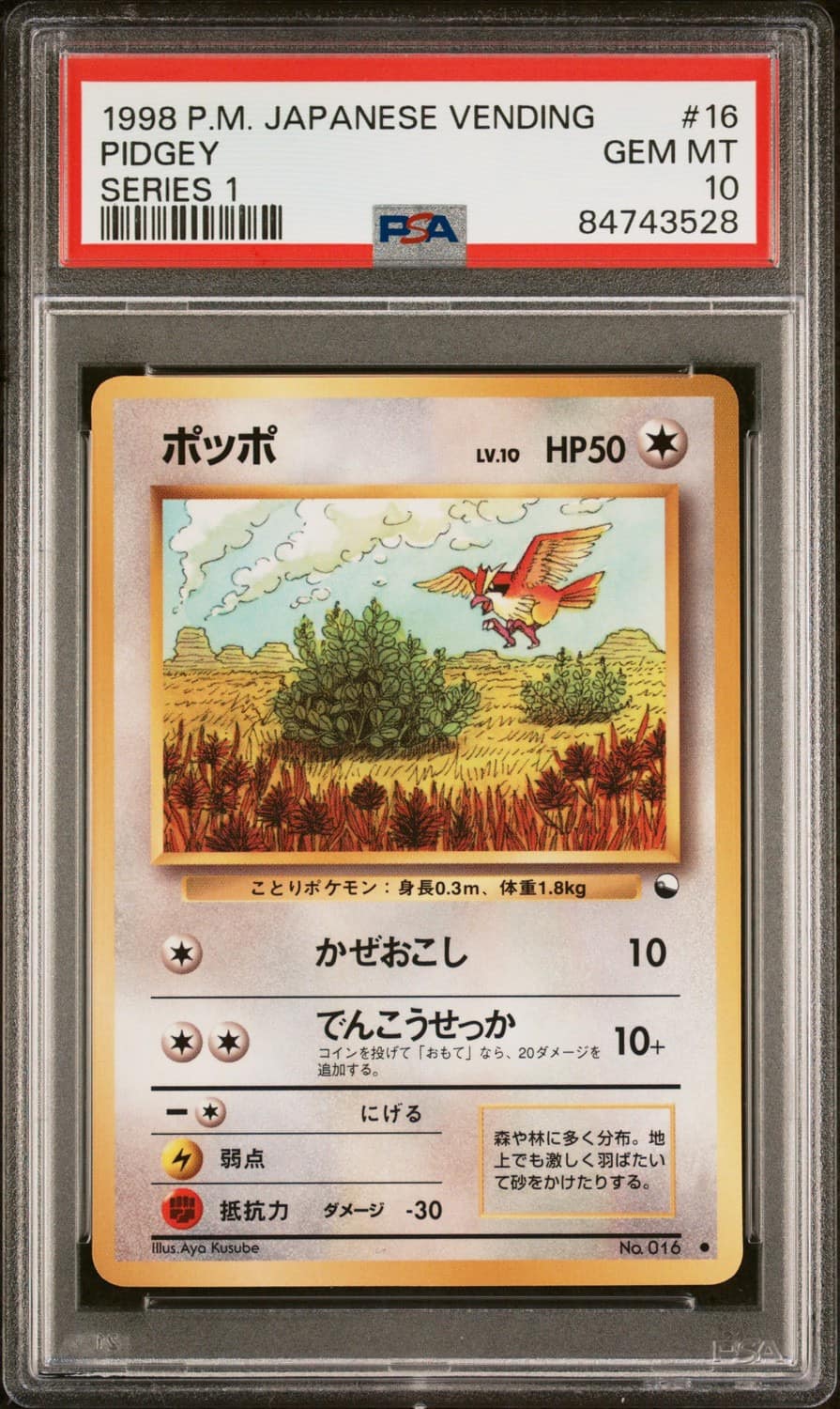 Pidgey