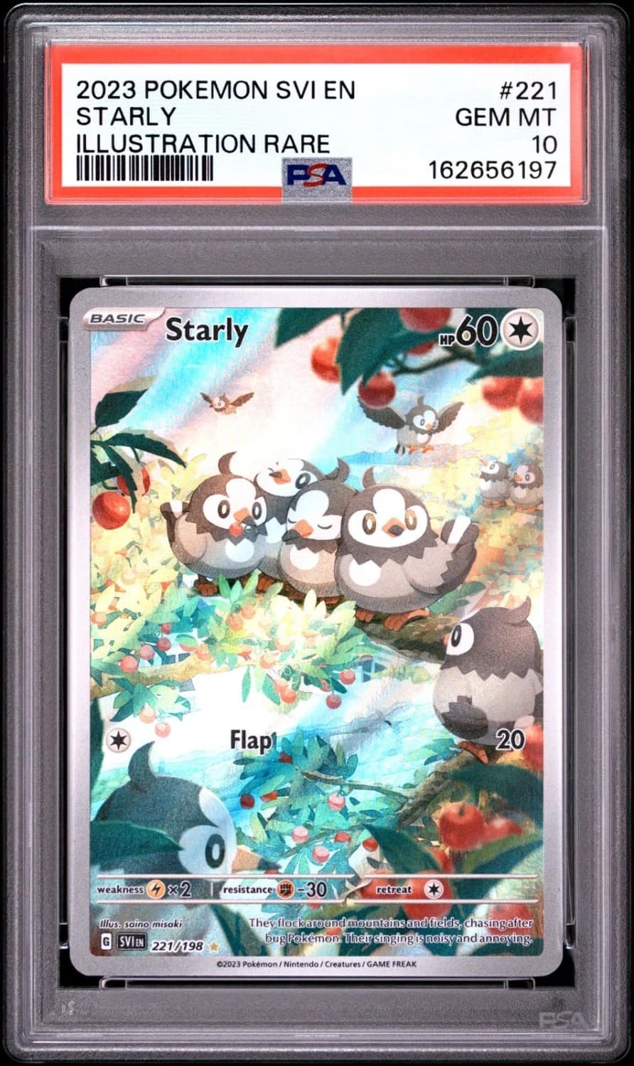 Starly