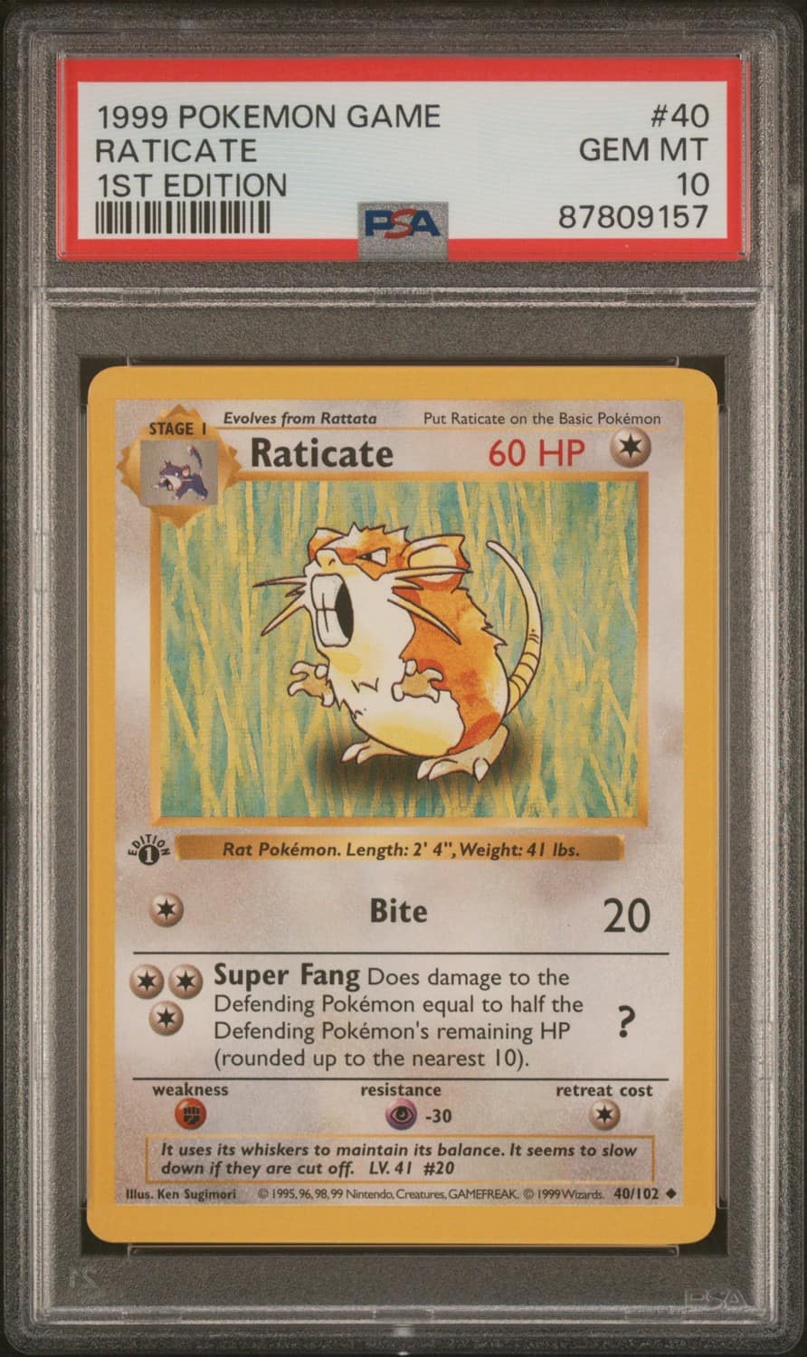 Raticate
