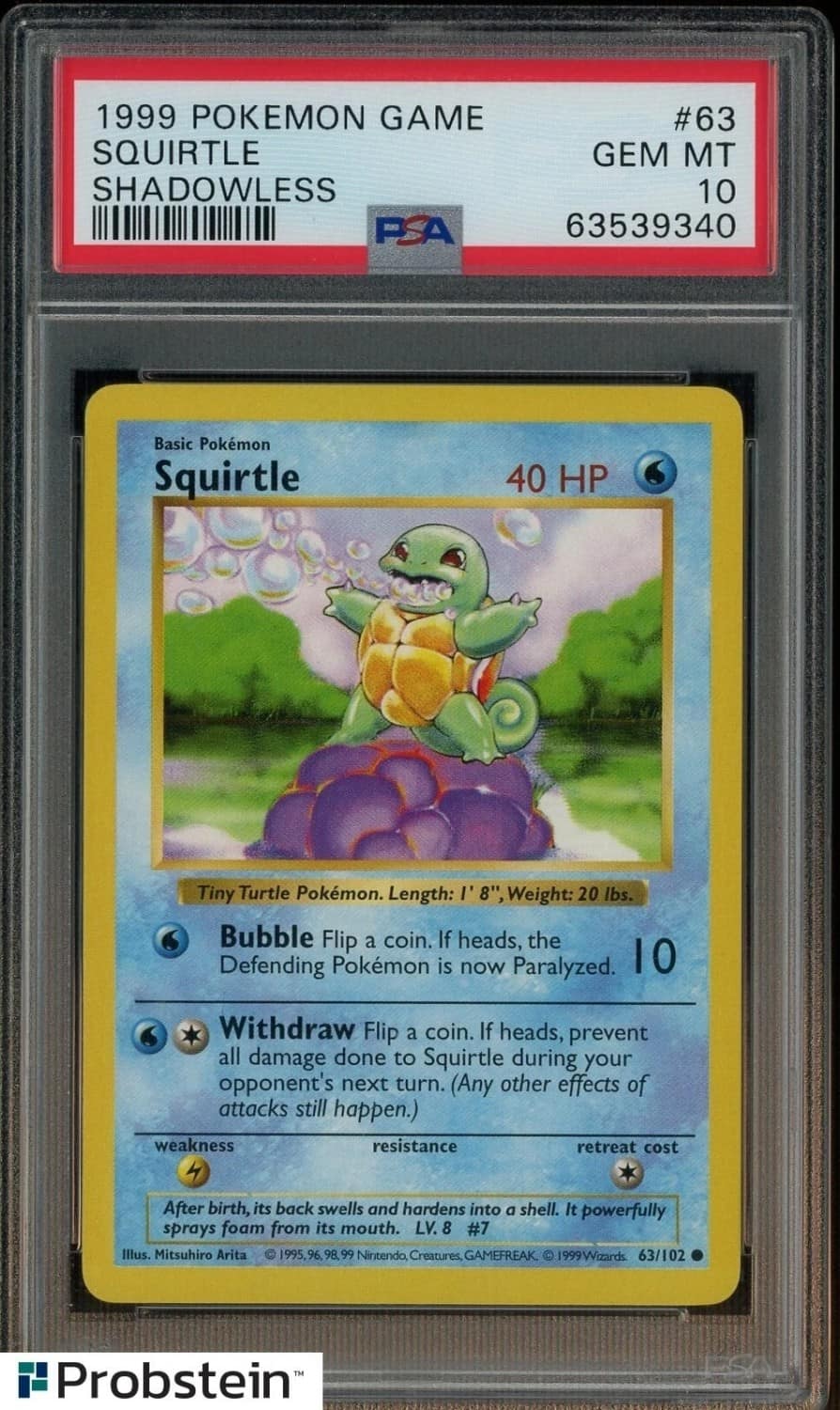 Squirtle
