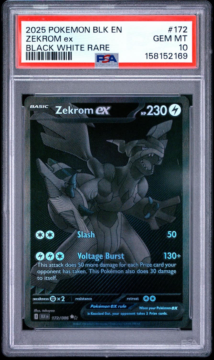 Zekrom Ex