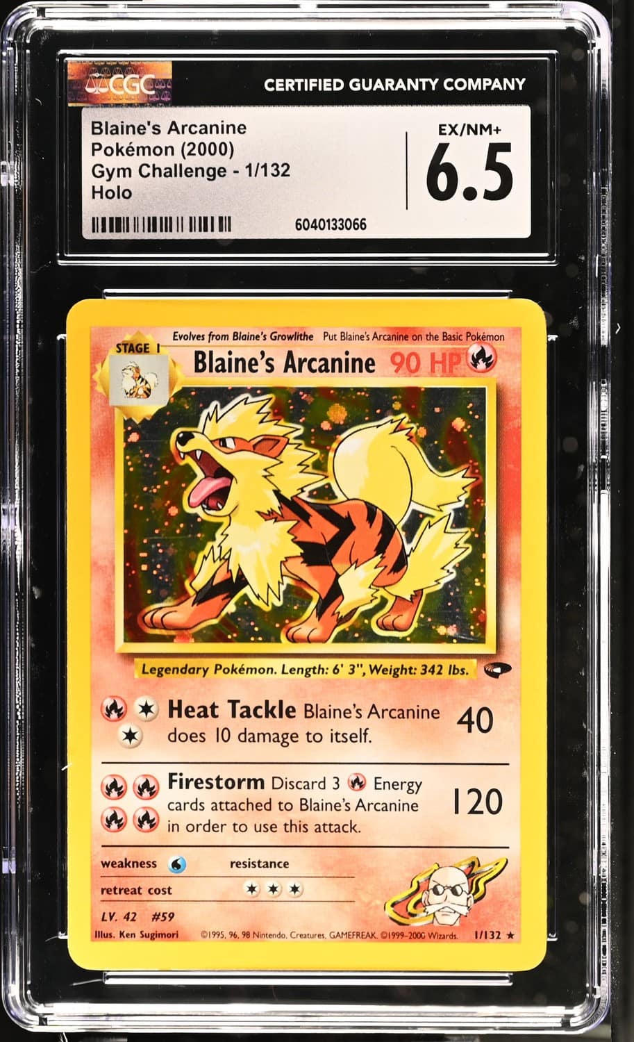 Blaine'S Arcanine