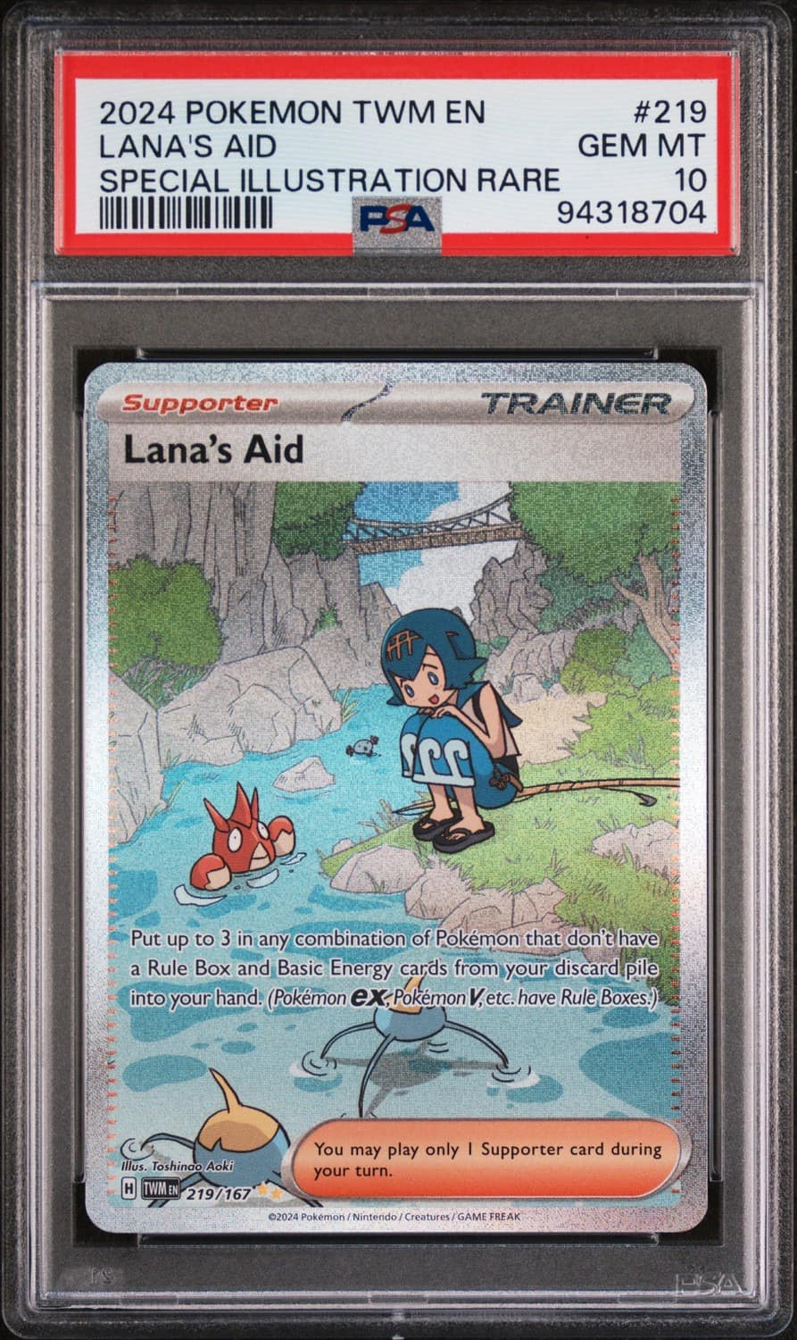 Lana'S Aid