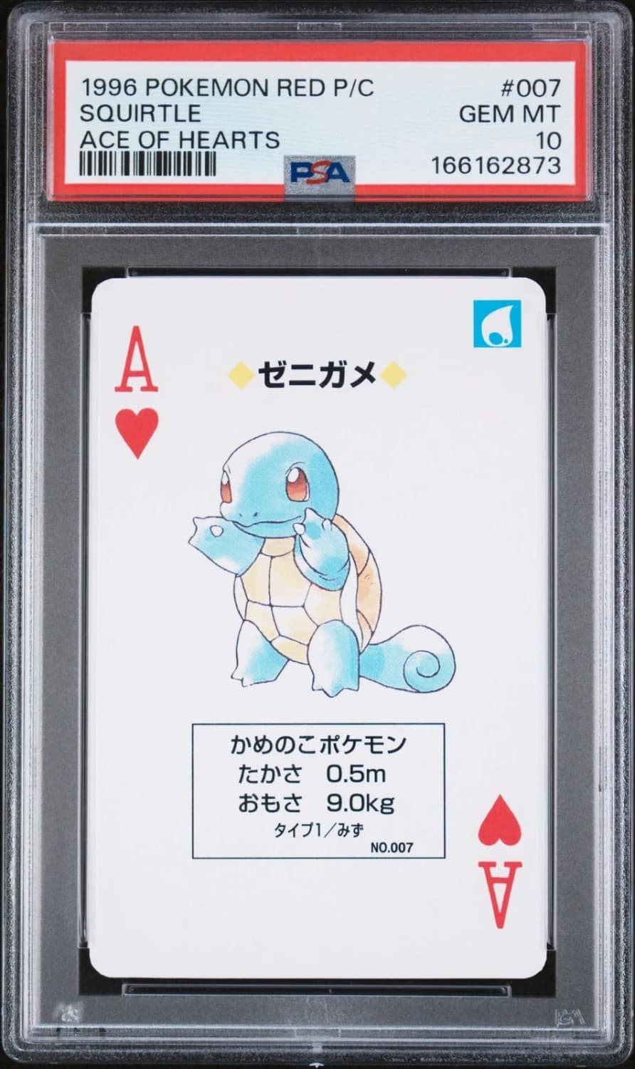 Squirtle