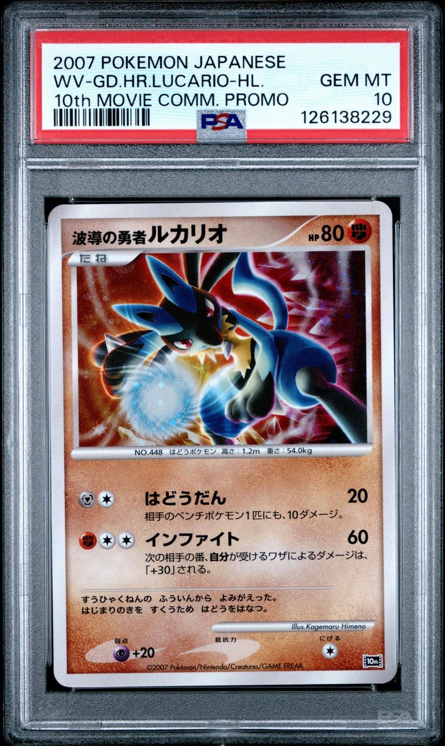 Wave-Guiding Hero Lucario