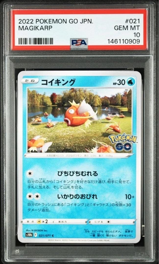 Magikarp