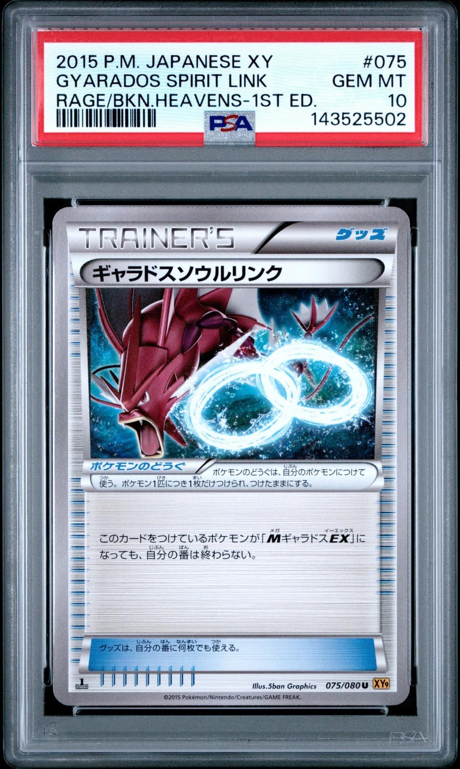 Gyarados Spirit Link