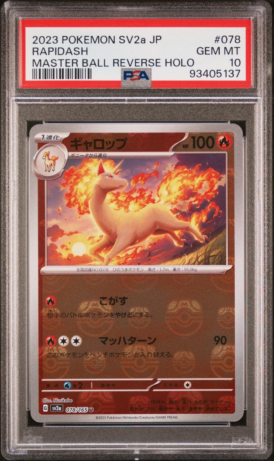 Rapidash
