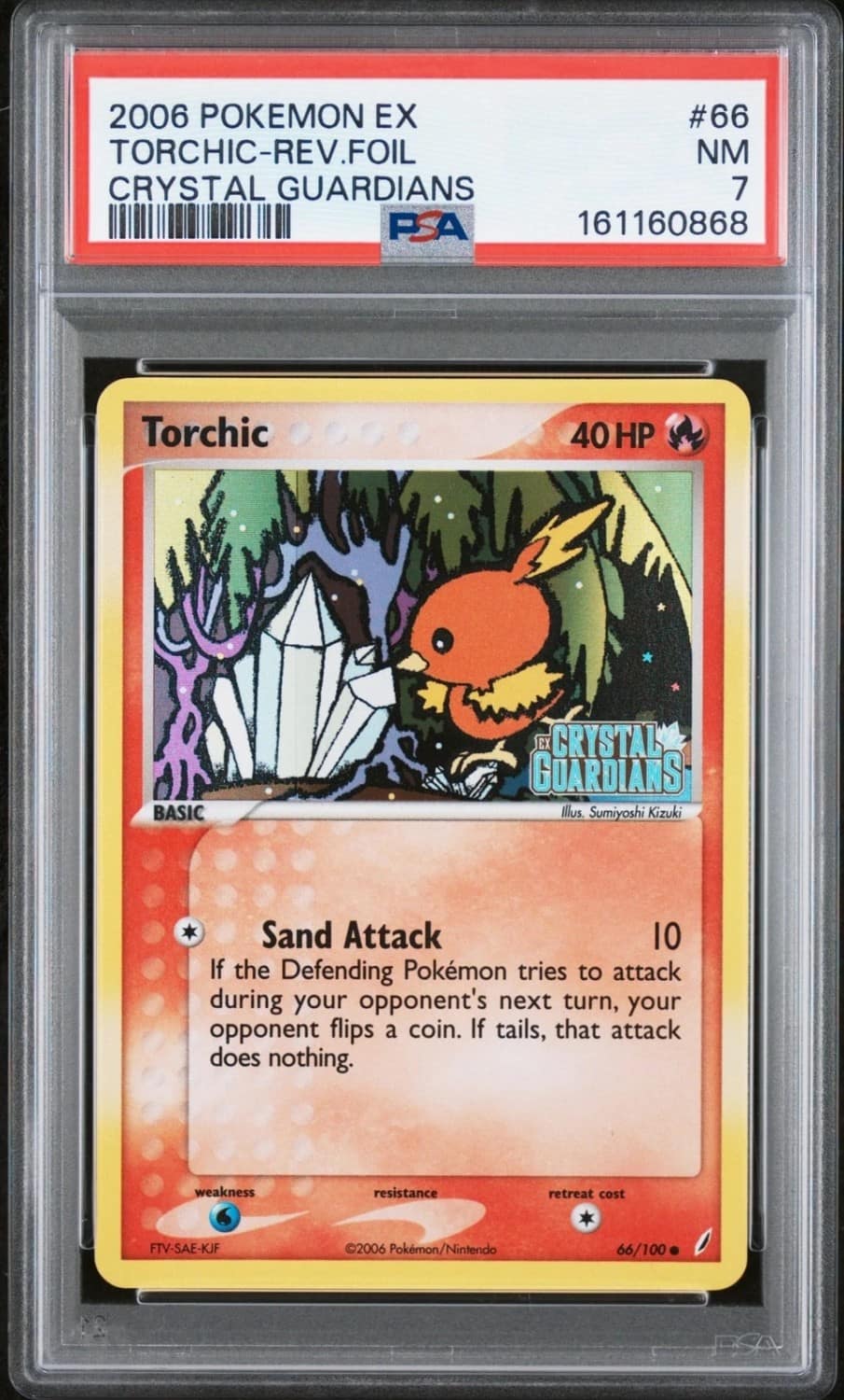 Torchic