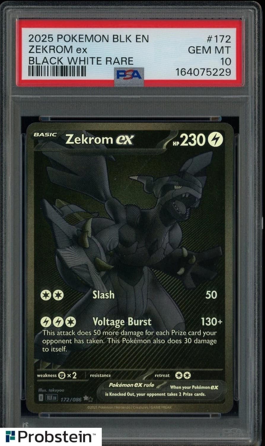 Zekrom Ex