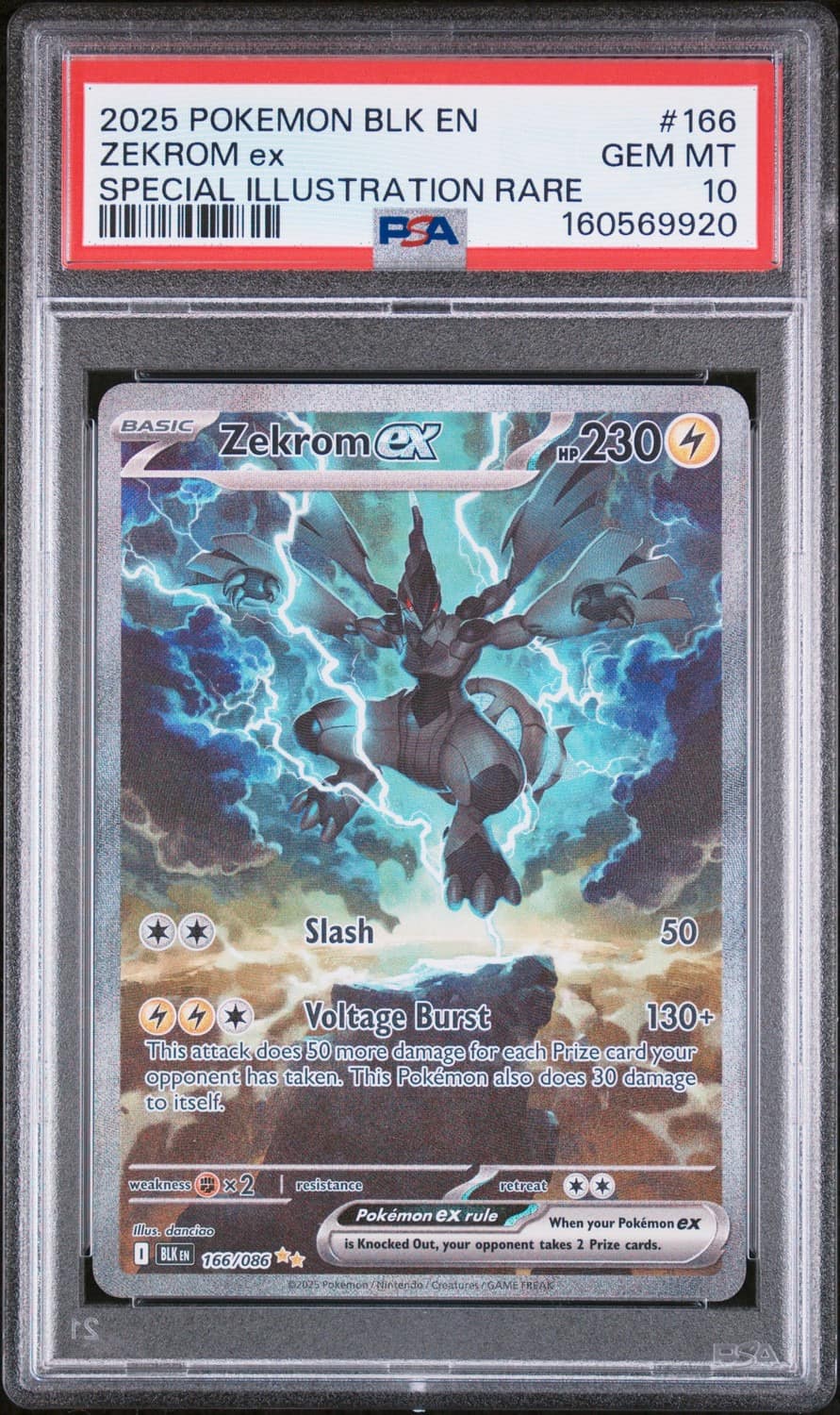 Zekrom Ex