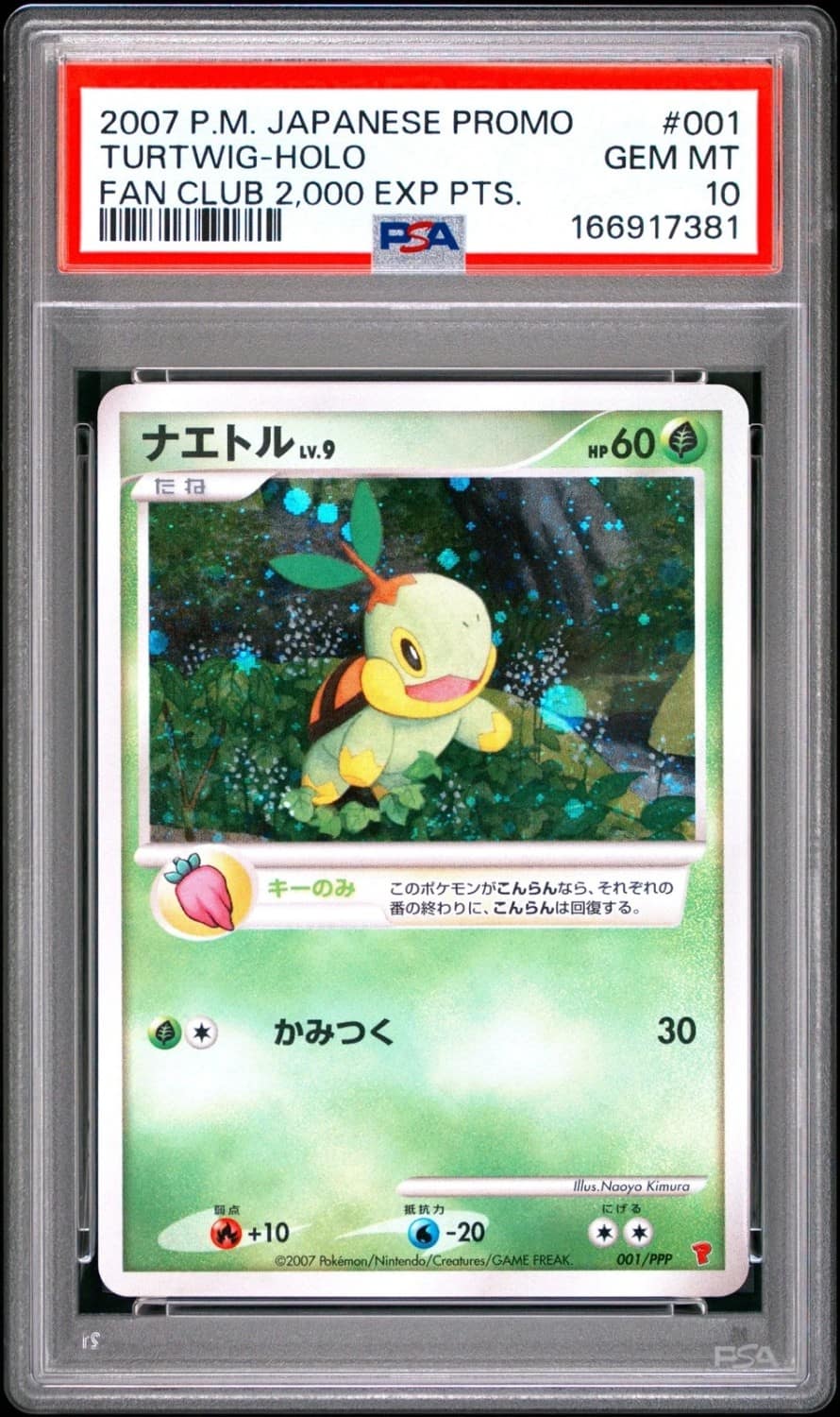 Turtwig
