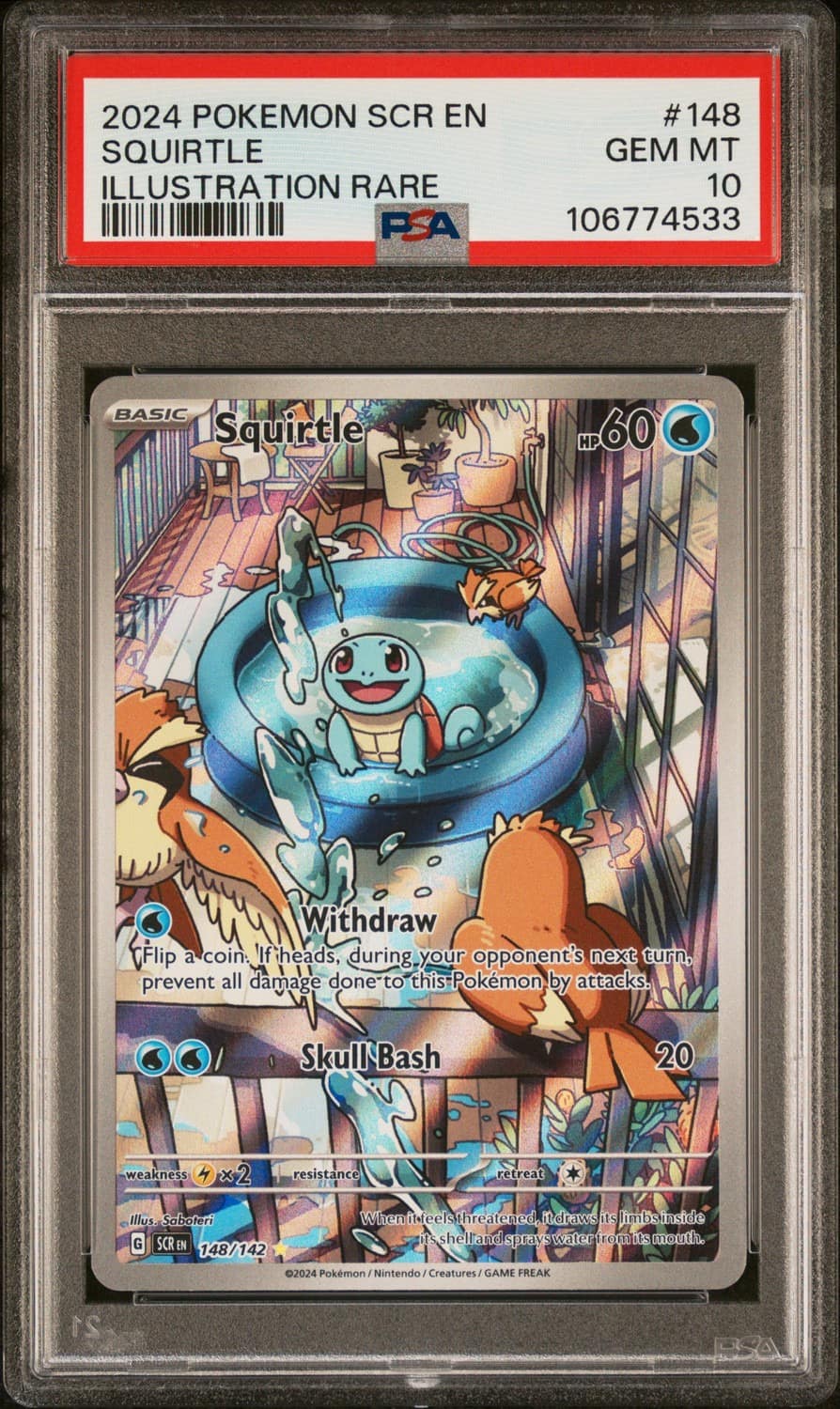 Squirtle