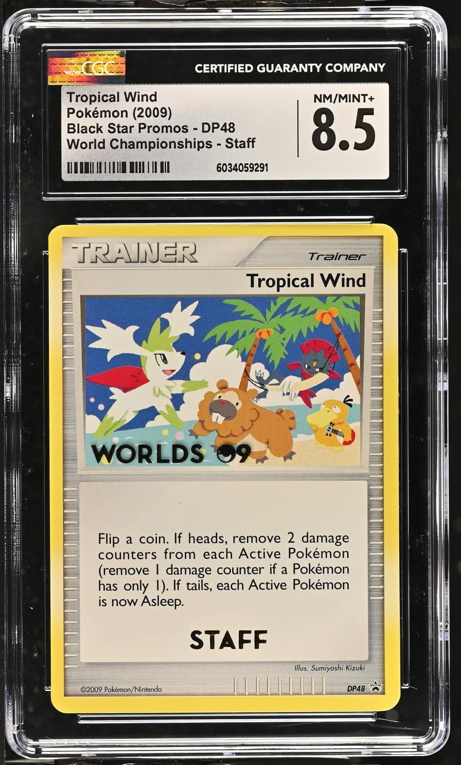 Tropical Wind