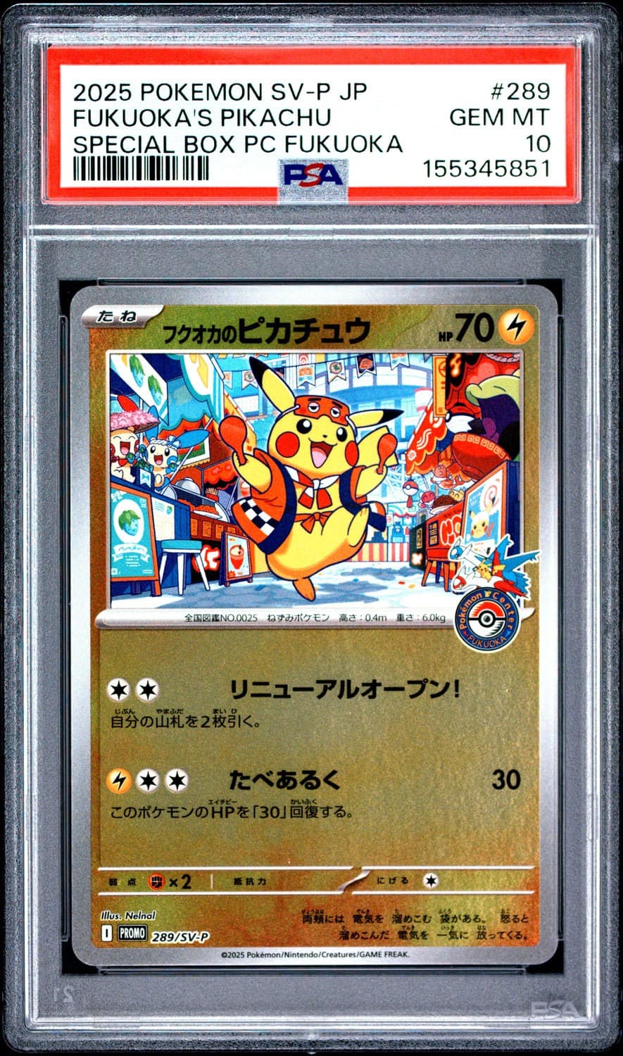 Fukuoka'S Pikachu