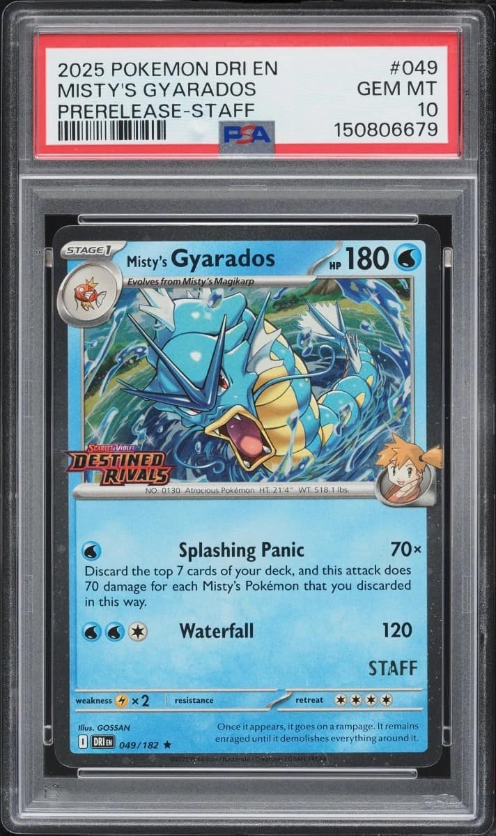 Misty'S Gyarados