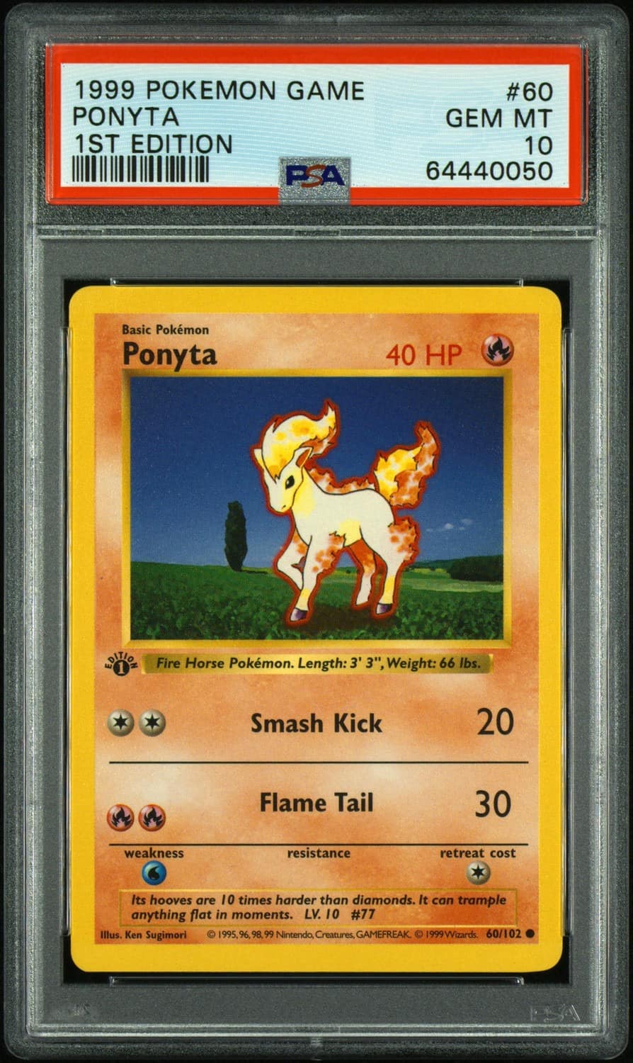 Ponyta