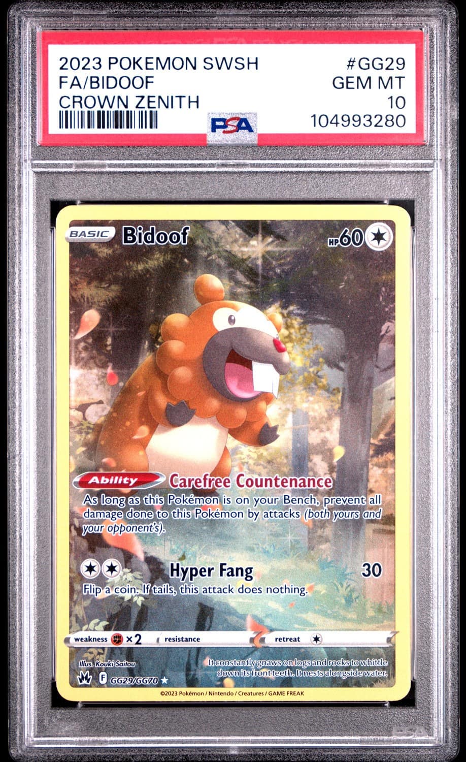 Bidoof