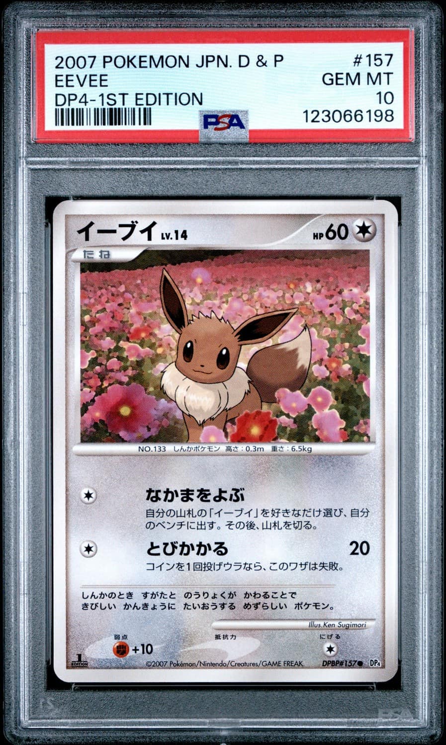 Eevee
