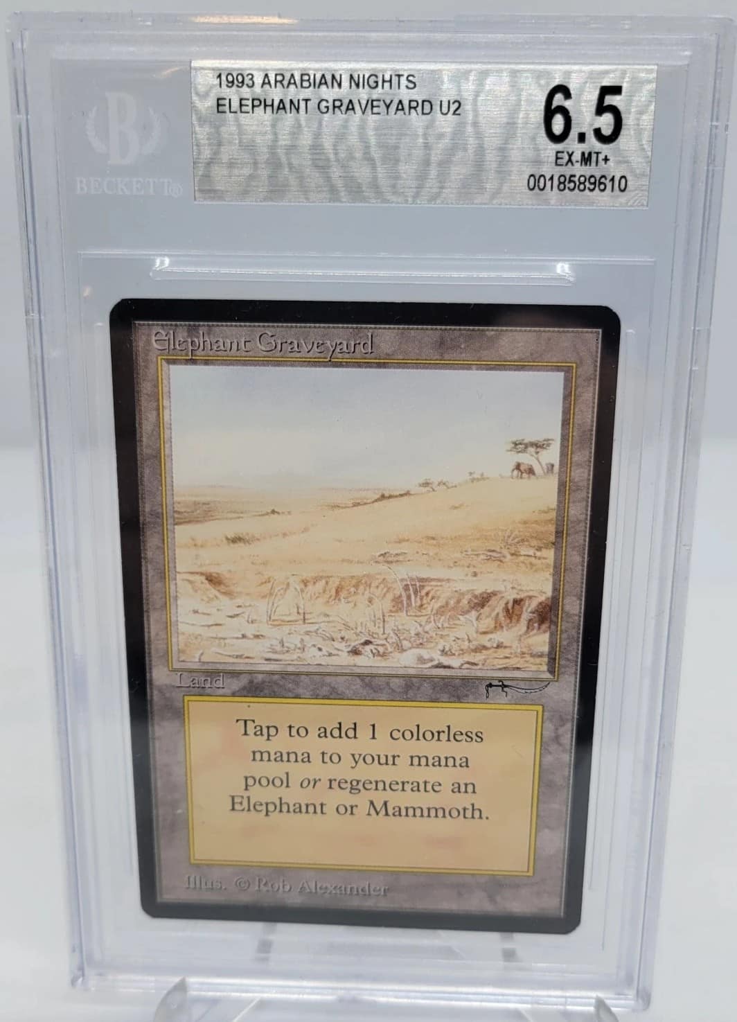 Elephant Graveyard U2