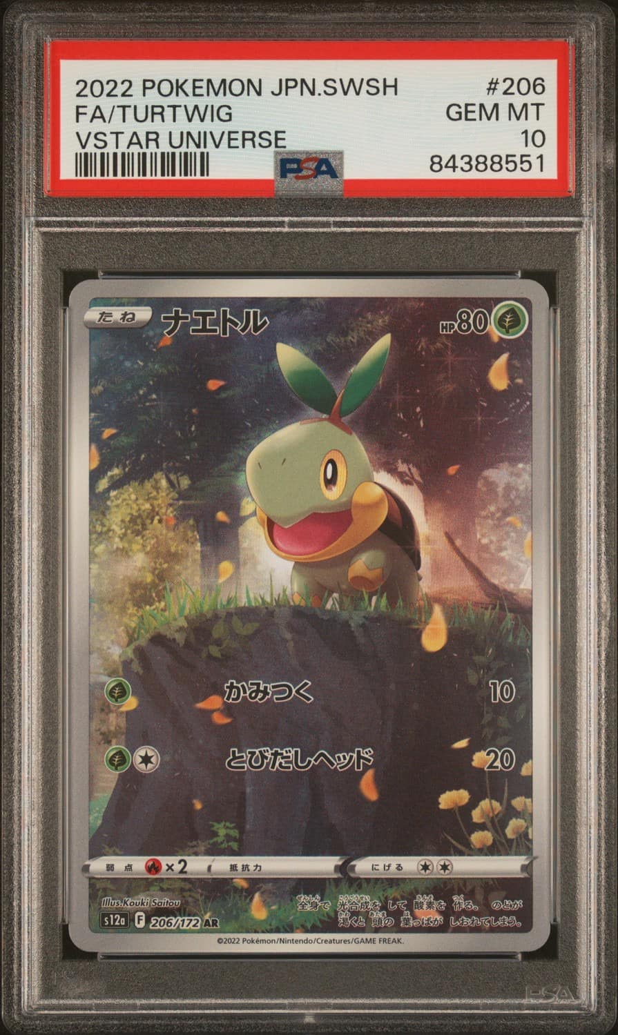 Turtwig
