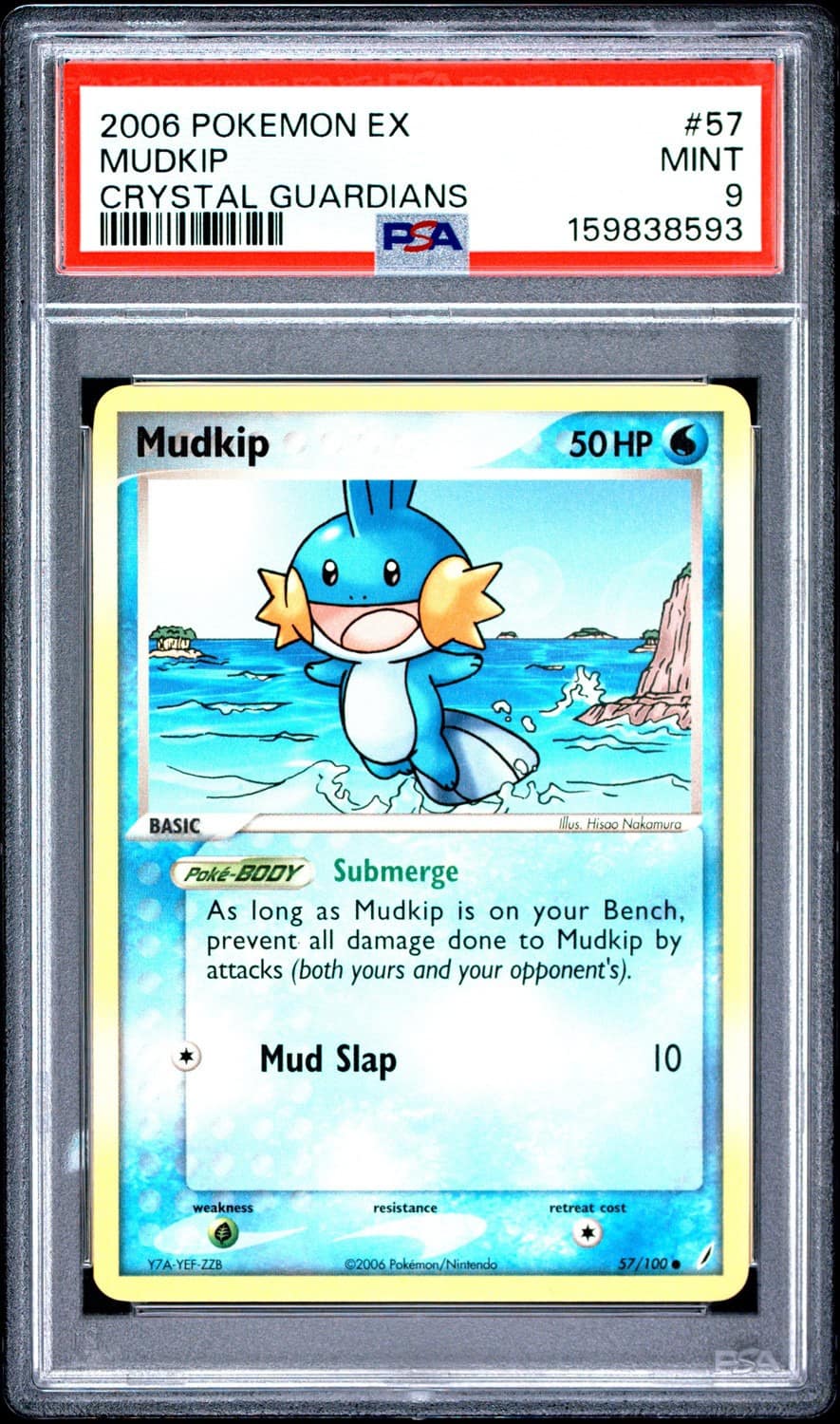 Mudkip
