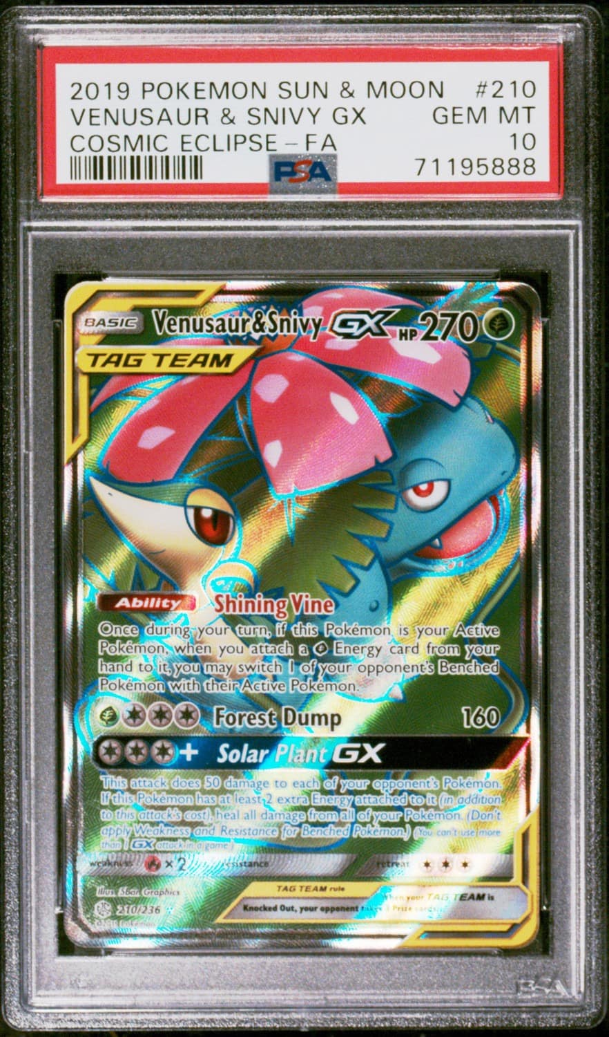 Venusaur & Snivy Gx