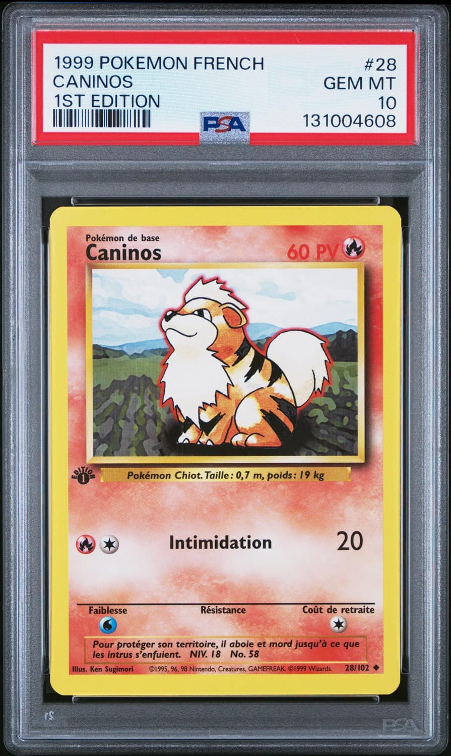 Caninos