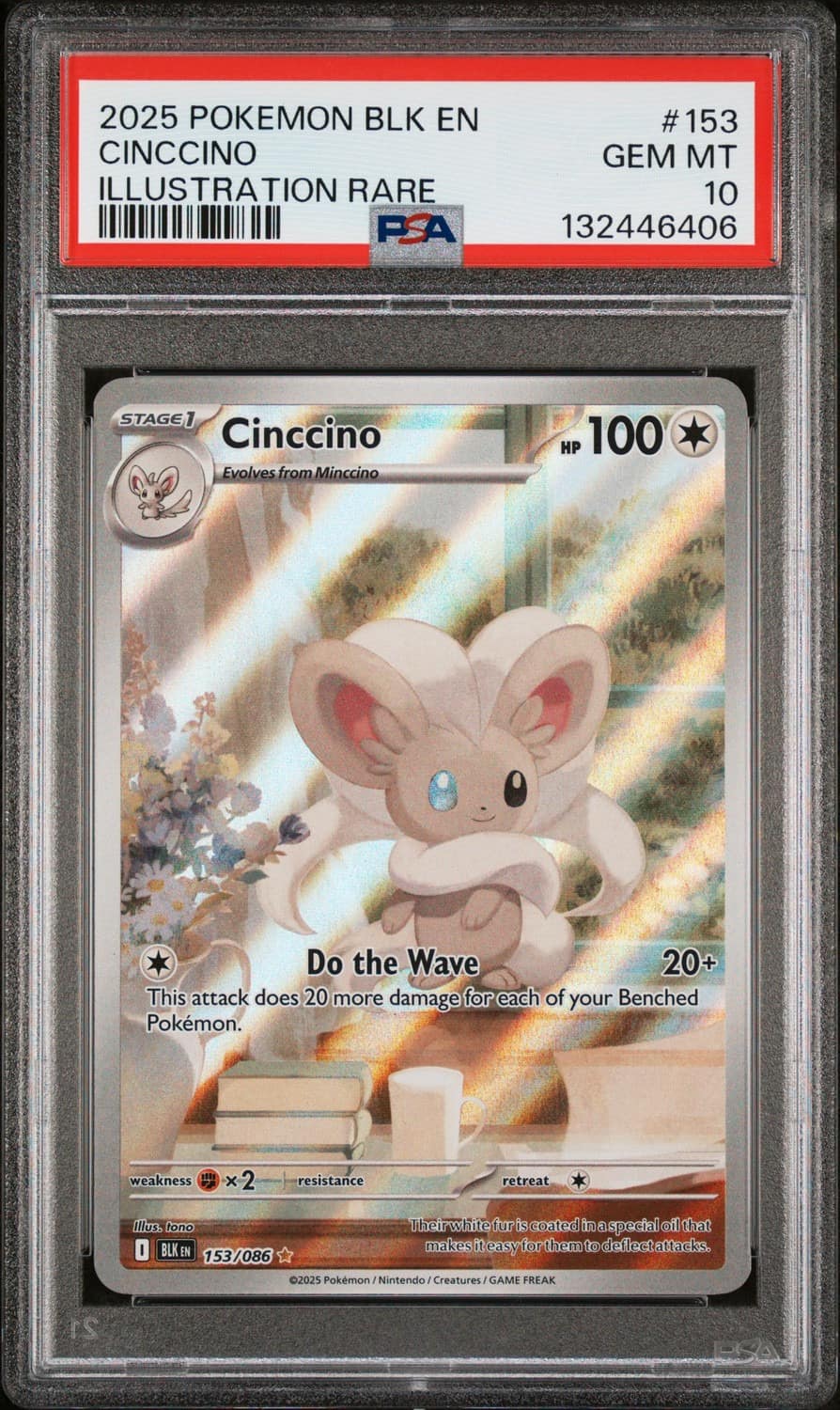 Cinccino