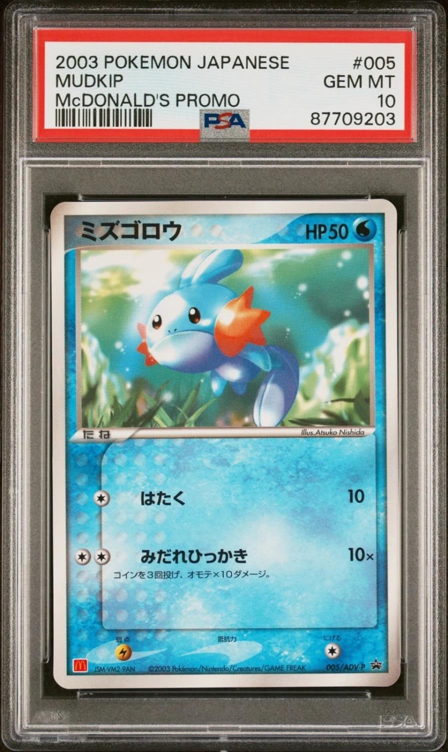 Mudkip