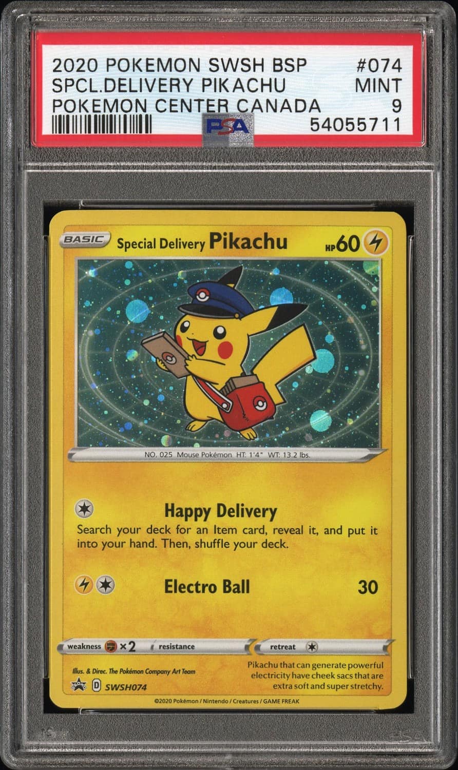 Special Delivery Pikachu