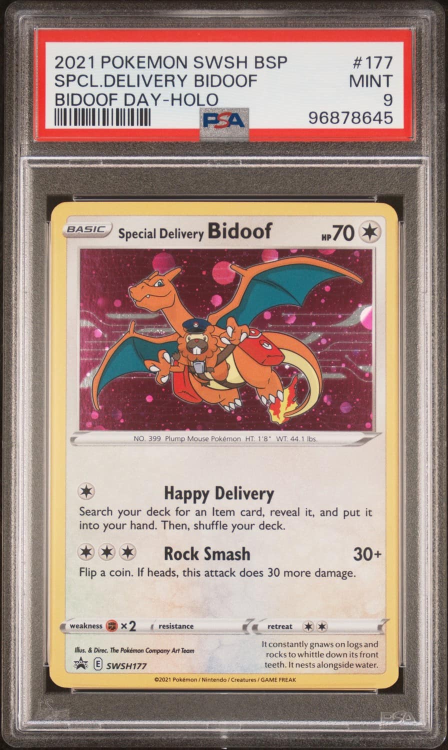 Special Delivery Bidoof
