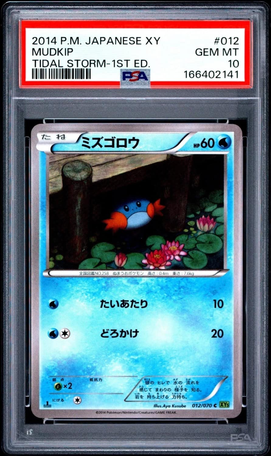 Mudkip