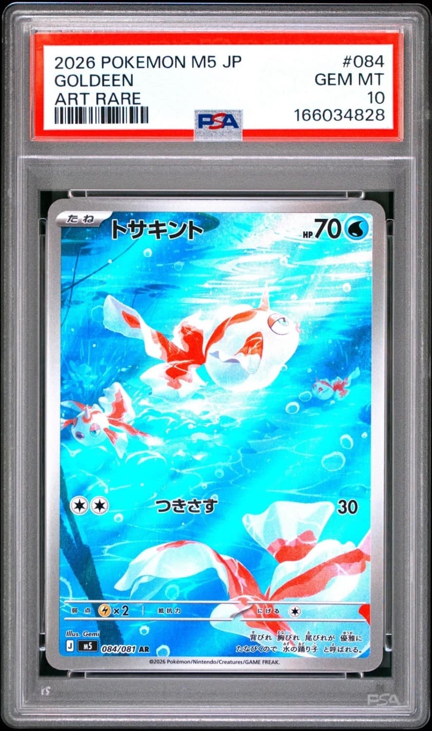 Goldeen