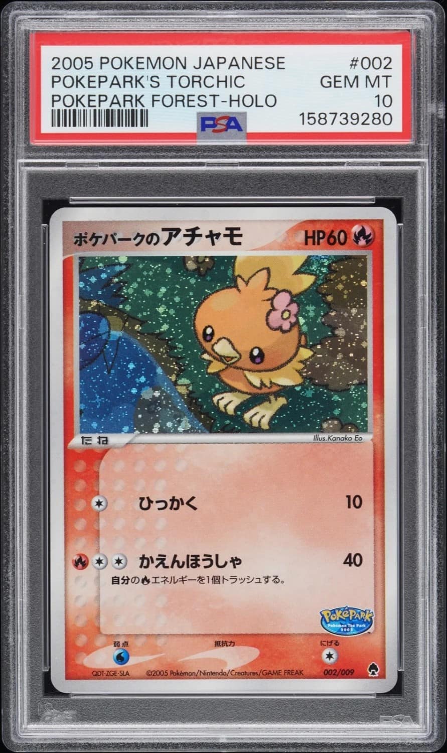 Pokepark'S Torchic