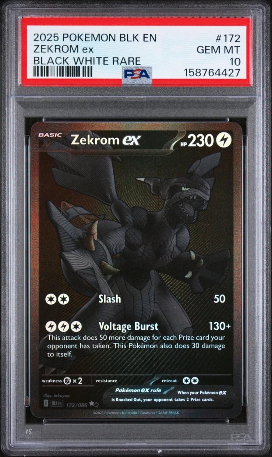 Zekrom Ex