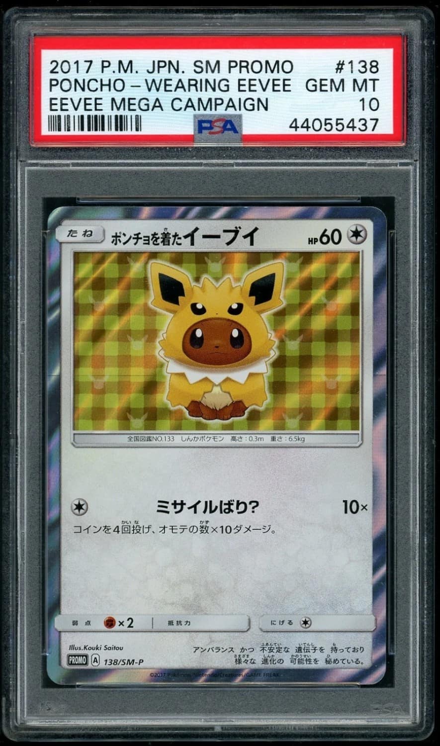 Poncho-Wearing Eevee