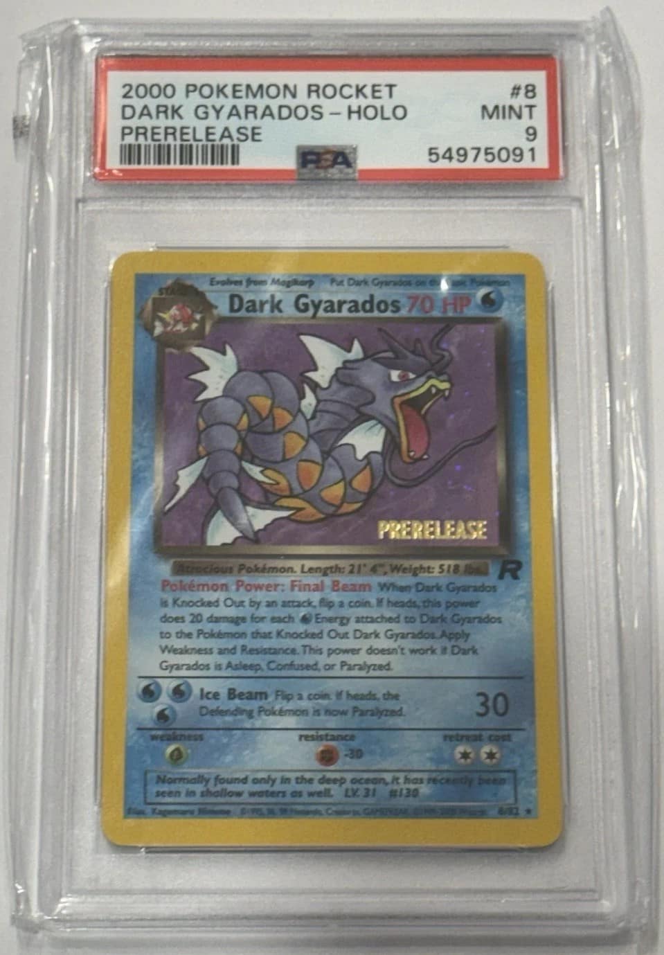 Dark Gyarados